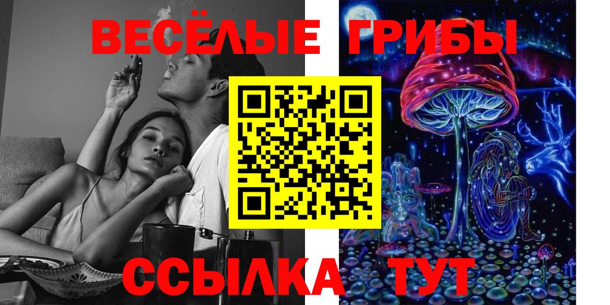 Галлюциногенные грибы Psilocybe Шадринск